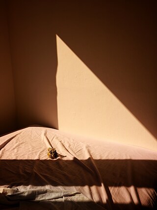 Anelise de Carli (Vozes da Quarentena) 2 &copy; Foto: Anelise de Carli  Anelise de Carli (Vozes da Quarentena) 2