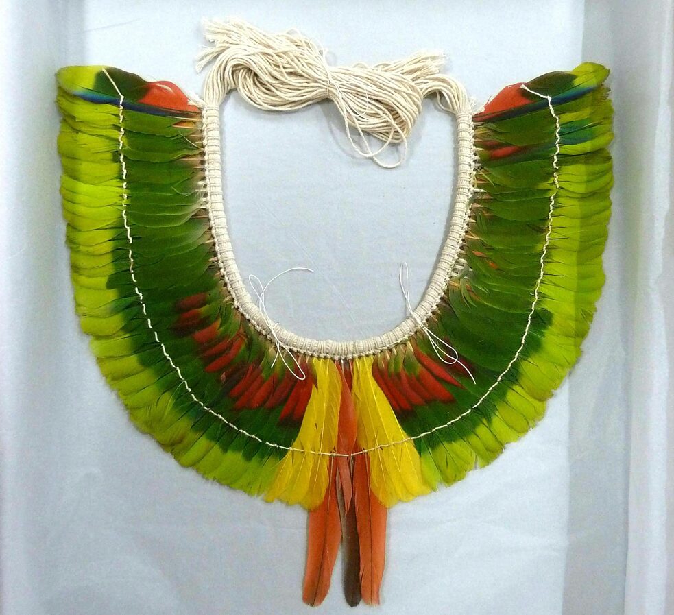 Restituzione di un oggetto di grande valore simbolico: l’Austria dà il buon esempio nella direzione della restituzione delle collezioni di beni culturali alle società indigene. Il 9 marzo 2020 è stata consegnata al Brasile la collezione dell’etnologo e missionario Anton Lukesch, scomparso nel 2003. Si tratta della prima donazione internazionale in favore del Museo Nazionale di Rio de Janeiro, distrutto da un incendio nel 2018.