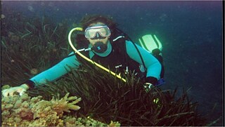 Photo of a Scuba-diver Sami Balistrou under water. 