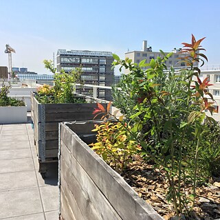 Romainville s'est orientée vers l'horticulture urbaine : Lorsque mes quatre murs deviennent trop étroits, je sors sur la terrasse pour semer, planter ou arroser. En arrière-plan, la première tour maraîchère de France est également en cours de construction, dans laquelle des légumes et des fruits seront cultivés à partir de septembre 2020.
