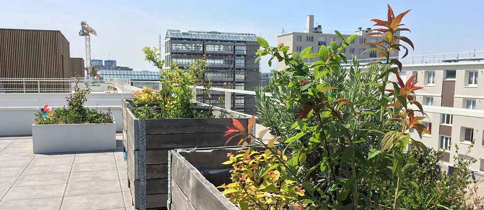 Romainville hat sich dem urbanen Gartenbau verschrieben: Wenn die eigenen vier Wände zu eng werden, dann geht es hinaus auf die Terrasse – zum Sähen, Pflanzen oder Gießen. Im Hintergrund entsteht zudem der erste Turm Frankreichs, in dem ab September 2020 Gemüse und Obst angebaut werden sollen. 