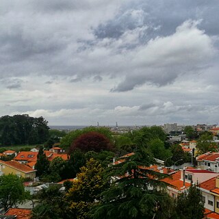Schöne Aussichten - Goethe-Institut Italien