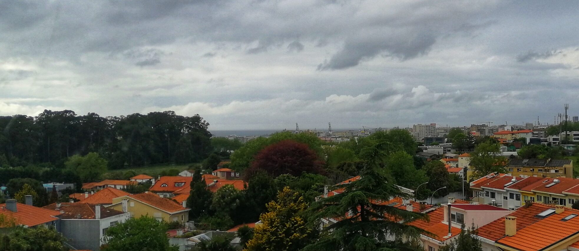 Schöne Aussichten - Goethe-Institut Italien