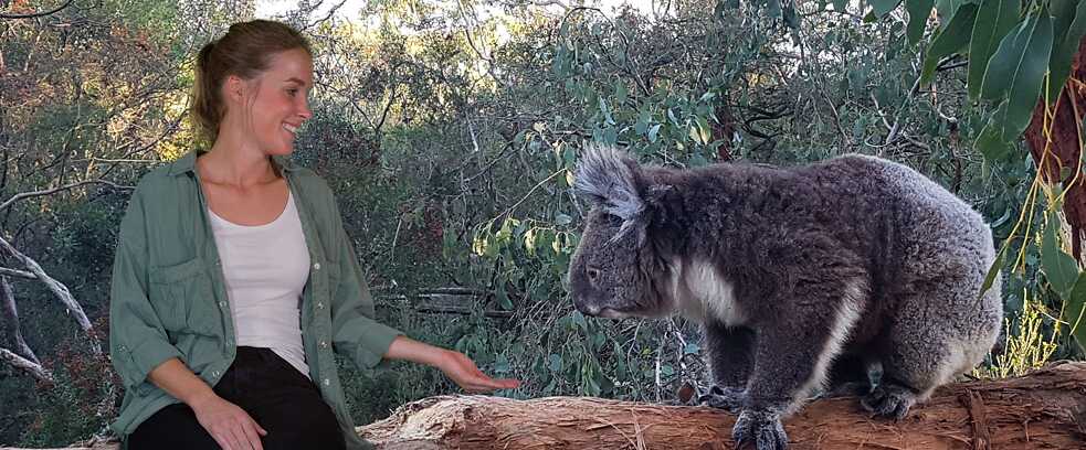 Australien SCHULWÄRTS!