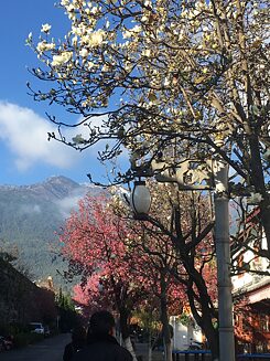 Dali bei unserer Ankunft