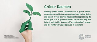 Gruner-Daumen