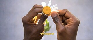 Gaby Messina: Margarita, Vídeo, 2017