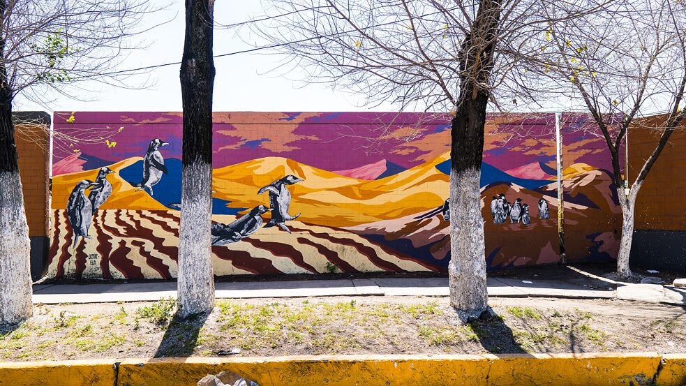 Los nuevos camellos 1