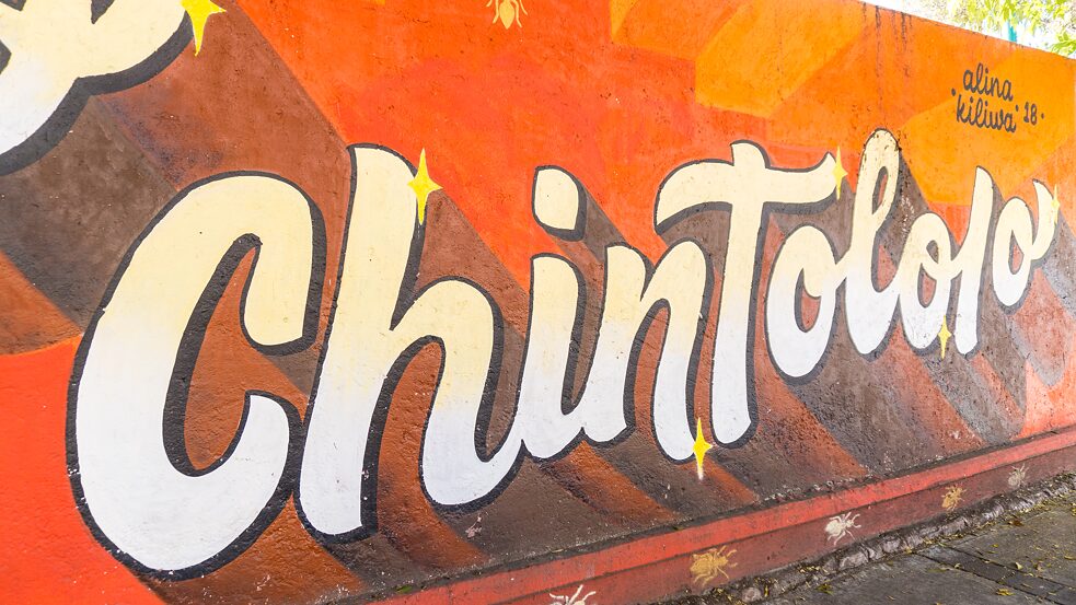 Orgullo Chintololo 2