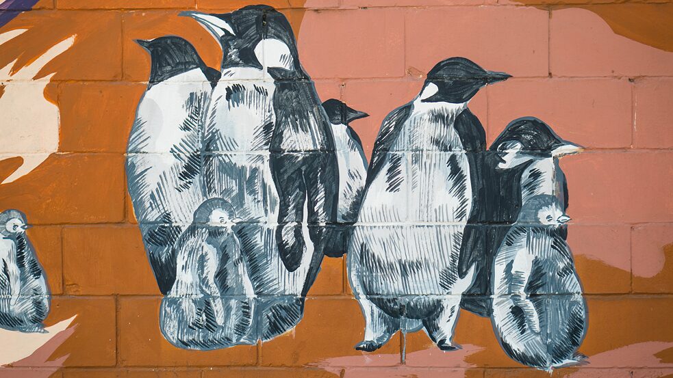 Los nuevos camellos 3