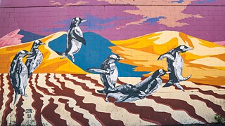 Los nuevos camellos 4