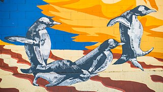 Los nuevos camellos 5