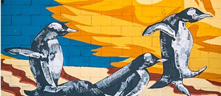 Los nuevos camellos Teaser