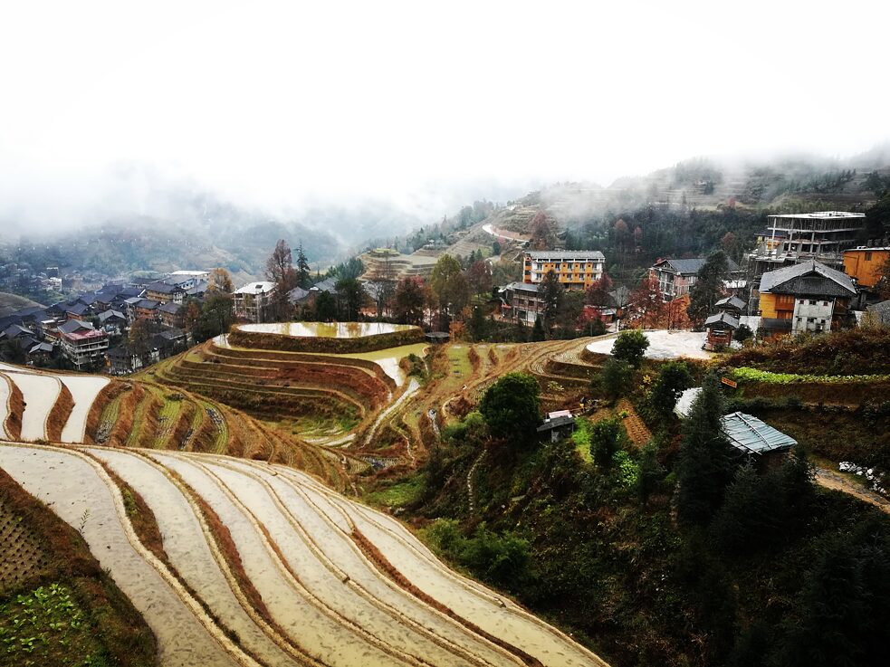 Reisterrassen von Longsheng 