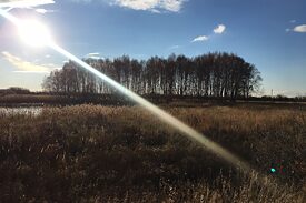 Sommer in Blumenfeld