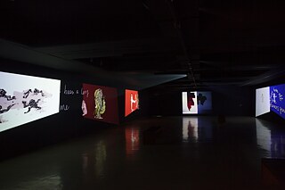 Nalini Malani: Can you hear me?-15