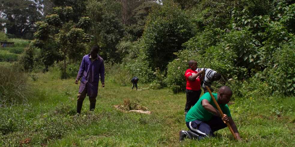 Ondiri Swamp_Nairobi