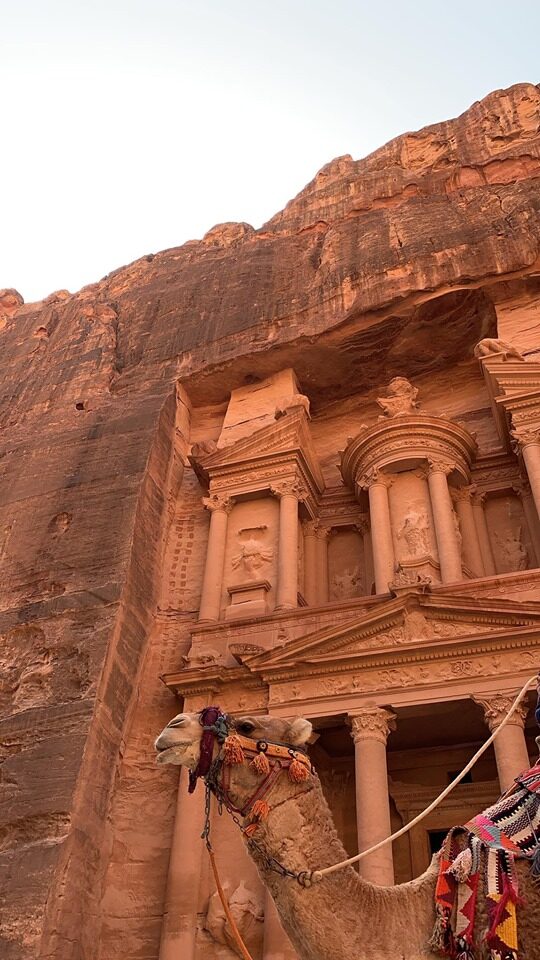 Das Kamel heißt uns vor der Fassade des Al-Khazneh herzlich willkommen.
