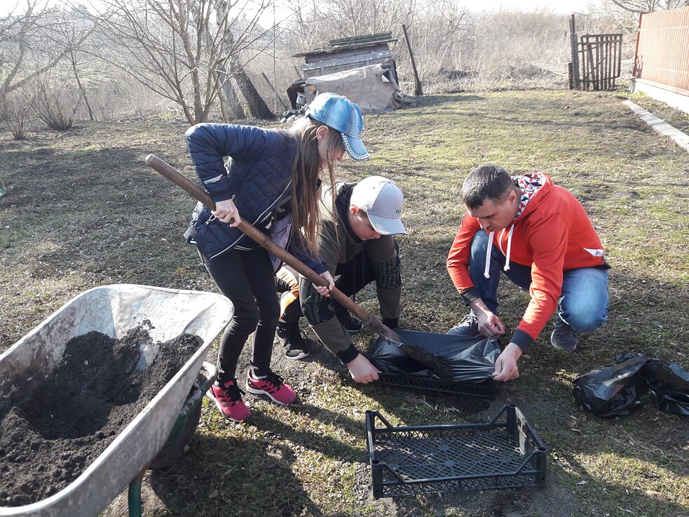 Vertikale- und Kleingärten an Schulen 7