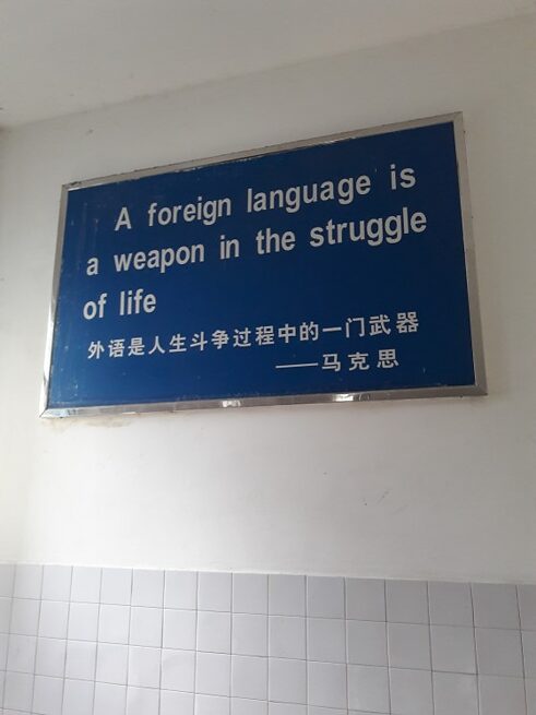 Einblicke in die Schule