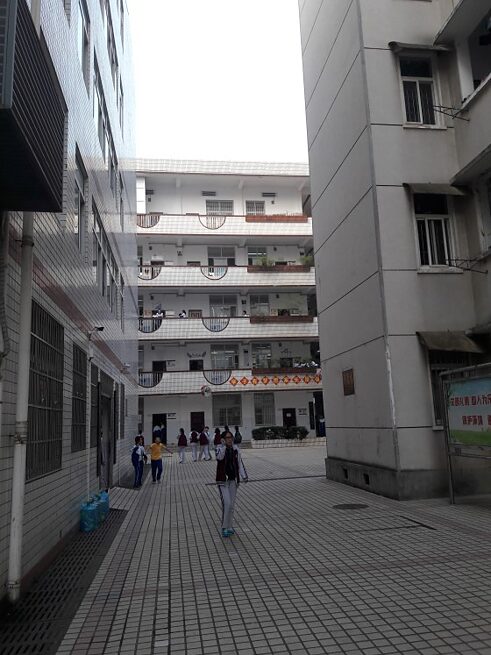 Einblicke in die Schule