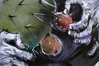 Detail-Aufnahme der Kaktusfrucht.