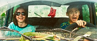 Bir arabanın kirli olan ön camından arabanın içinde oturan iki erkek çocuk görülüyor. Solda oturan, güneş gözlüğü takmış ve gülümsüyor ve sağdaki direksiyonu tutuyor ve ağzını açmış. İkisi arasında, dikiz aynasına asılmış olan bir çift küçük, kırmızı boks eldiveni görülüyor. Arabanın arka camından, çevrenin yeşil olduğu seçilebiliyor.