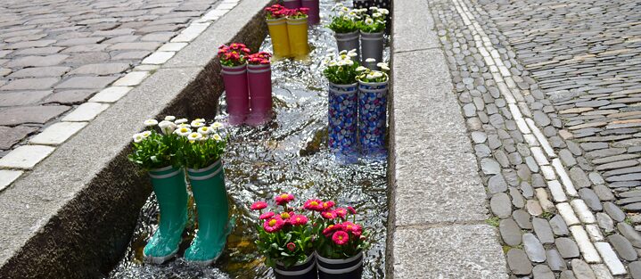 Wellingtons as planters in a Bächle.
