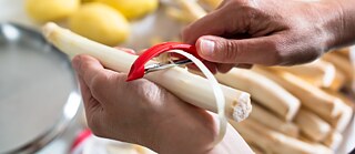 Der Spargel ist vor dem Kochen zu schälen