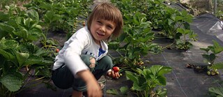 Kommunale Projekte sollen Kindern ein hochwertigeres und kostengünstigeres Essen anbieten und dabei die Nachhaltigkeit von Produktion und Konsum unterstützen.