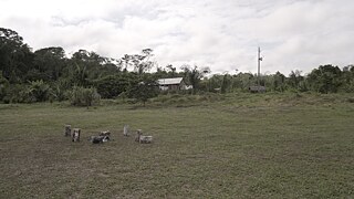 Invisible Forest_DSC0190