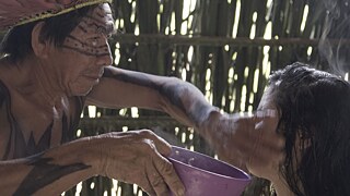 Invisible Forest_DSC0292