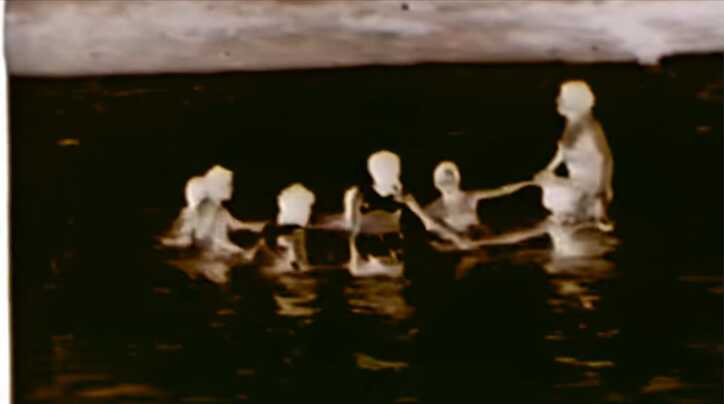 IAD_STILL-17