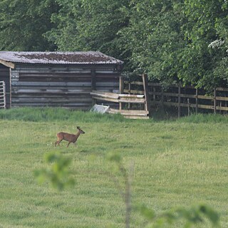 Un coup d'œil de l'autre côté de la rue révèle une vie sauvage diversifiée dans la campagne bruxelloise. Parfois un cerf passe en courant, parfois un lièvre saute et une autre fois un renard se faufile dans les hautes herbes. Tous ces animaux vont-ils aussi se dire bonne nuit paisiblement le soir ? Nous le souhaiterions bien.