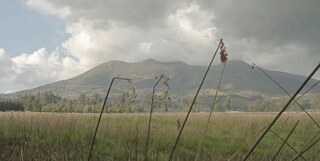 The Sleeping Elephant Banner