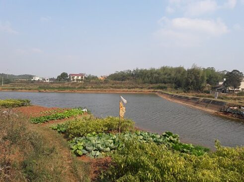 Chinas Landschaft hat viel zu bieten