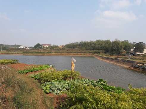 Chinas Landschaft hat viel zu bieten