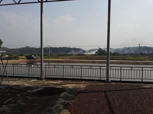 Chinas Landschaft hat viel zu bieten