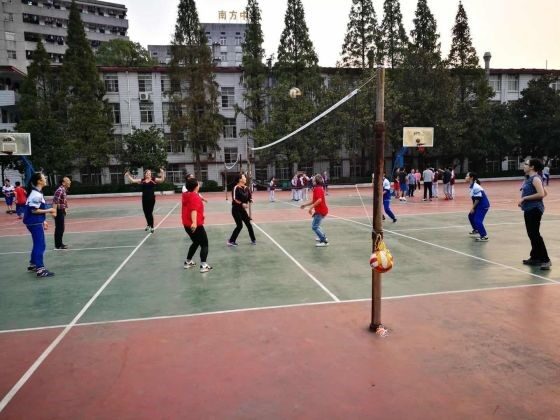 Volleyball mit dem Kollegium