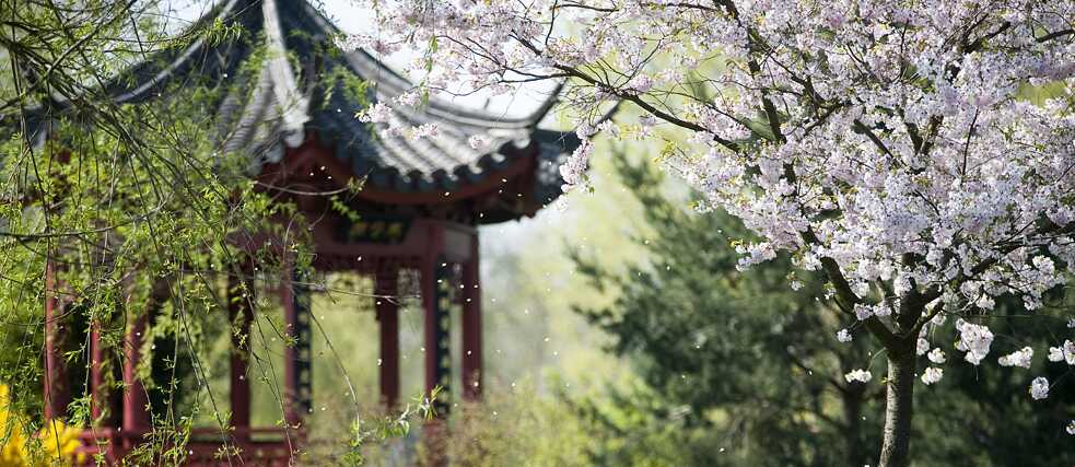 Och dit is Berlin: In den Gärten der Welt in Marzahn kann man unter anderem typisch chinesische Pavillons begutachten. 