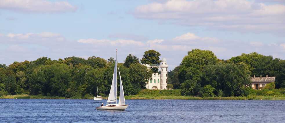 Schillernde Pfauen in freier Natur – und das mitten in Berlin: die Pfaueninsel im Wannsee.