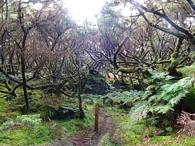 Unser traumhafter Wanderweg