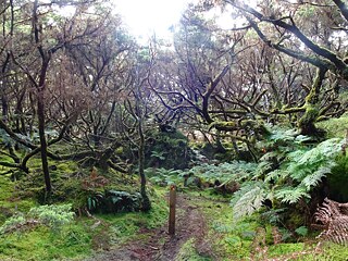 Unser traumhafter Wanderweg