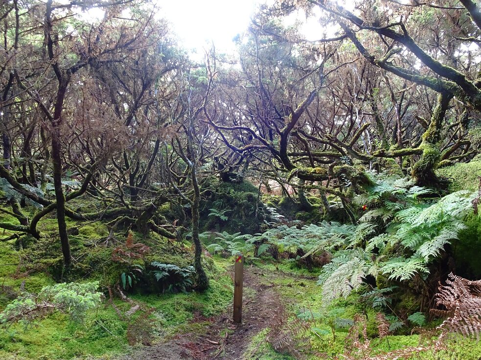 Unser traumhafter Wanderweg