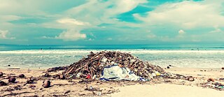 Des tonnes de déchets – entre autre produites par les touristes – s’accumulent sur nos plages et l’océan meure par pollution plastique.
