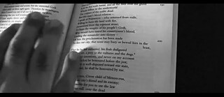 Urs Widmer - readings in the shed