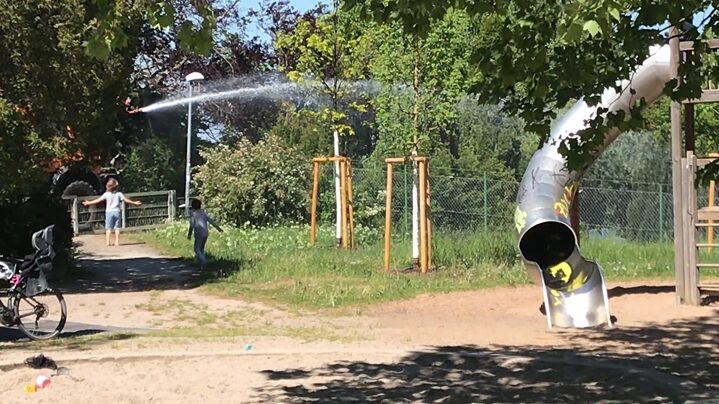 Every Dawn The New Man