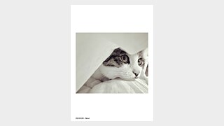 Paul Jürgens & Nour Mansour (17)