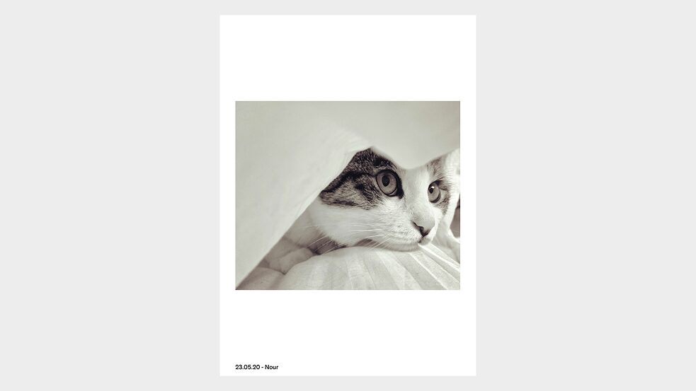 Paul Jürgens & Nour Mansour (17)