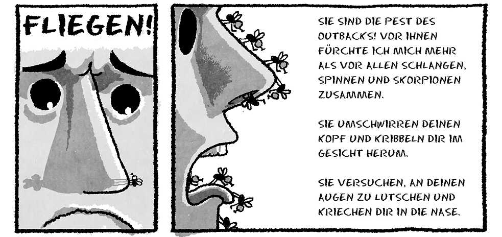 Flies